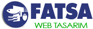 Fatsa Web Tasarım - Fatsa İnternet sitesi Yaptırmak