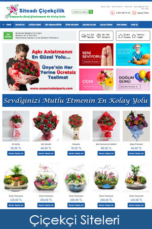 hazir çiçekçi siteleri web tasarımı